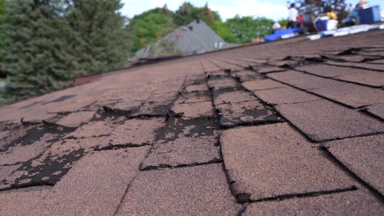 Best 4 Ply Roofing  in Tupelo, MS