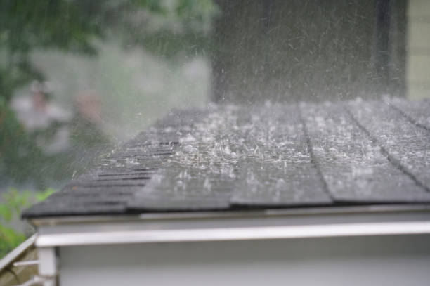 Best Roof Coating and Sealing  in Tupelo, MS