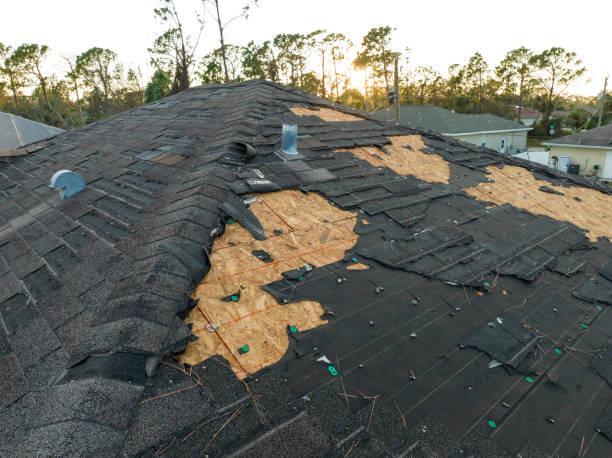 Best Asphalt Shingles Roofing  in Tupelo, MS