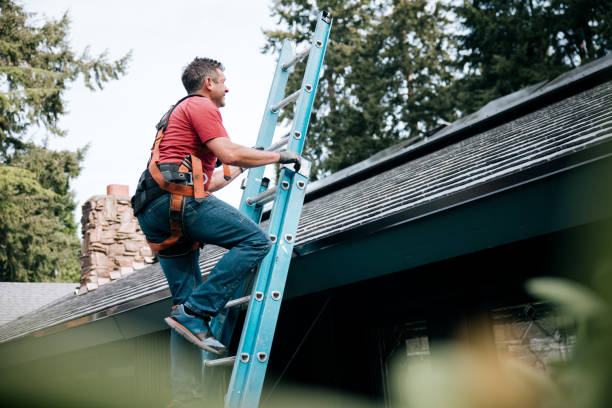 Professional Roofing Service in Tupelo, MS